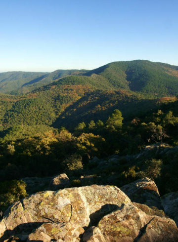 le massif des maures