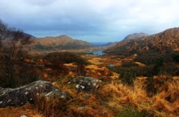 irlande et les souvenirs de famine