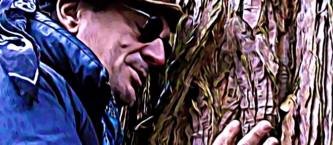 Il aime les arbres
