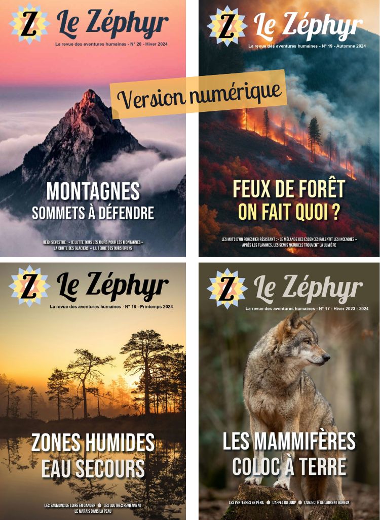 Pack numérique : Lire Le Zéphyr en version PDF