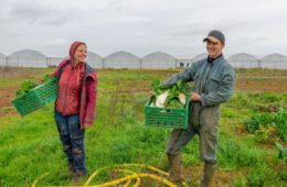 ferme de l envol