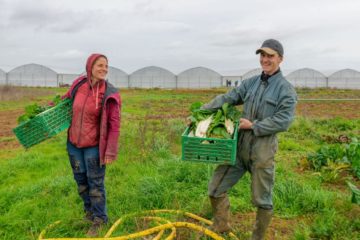 ferme de l envol