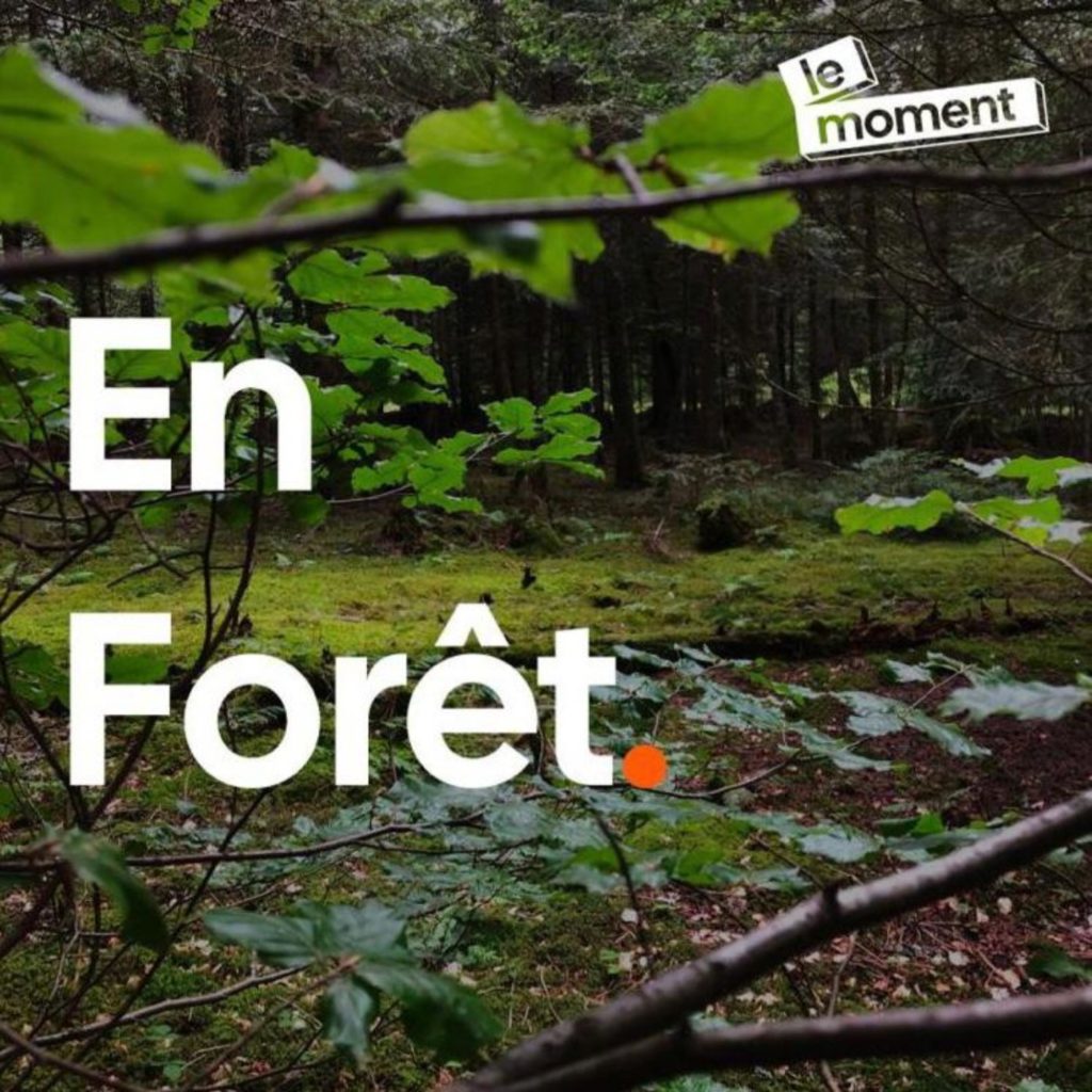 logo du podcast en forêt