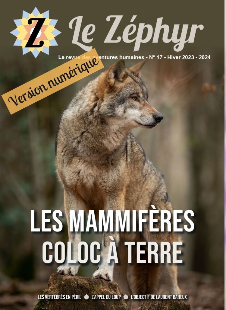 couverture zéphyr 17 pdf