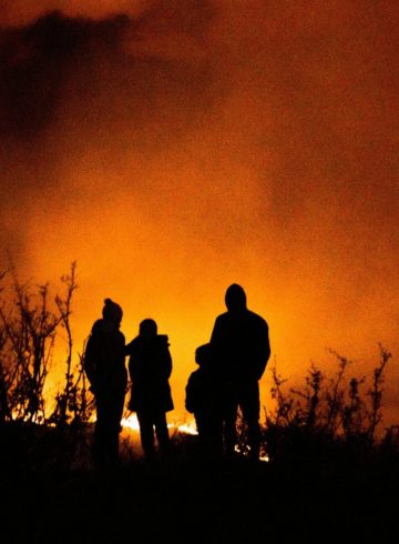 Feu de forêt