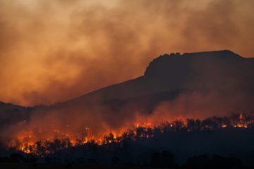 feu de forêt